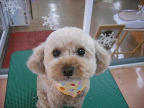 ファイル 2893-1.jpg