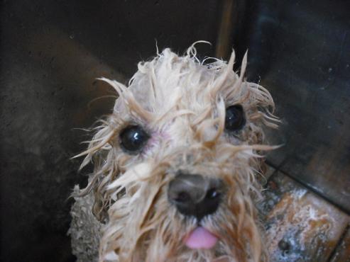 ファイル 2893-2.jpg