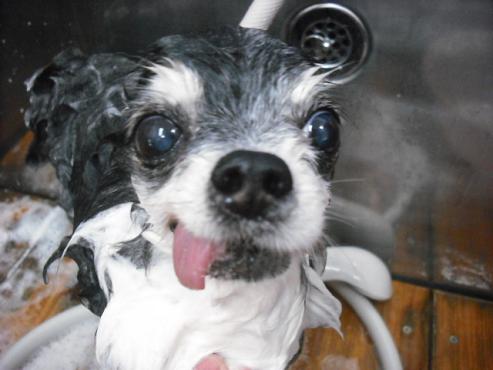 ファイル 2894-2.jpg