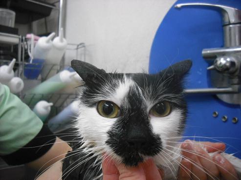 ファイル 2896-2.jpg