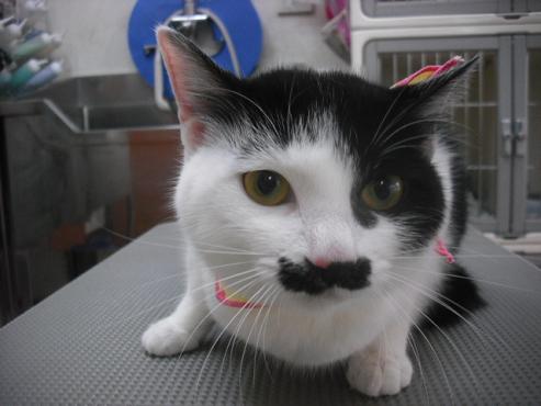 ファイル 2897-1.jpg