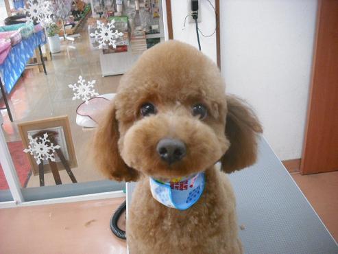 ファイル 2898-1.jpg