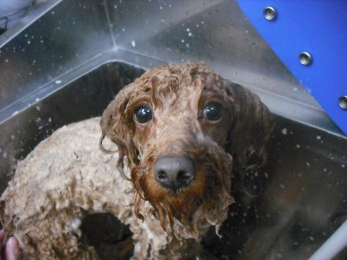 ファイル 2898-2.jpg