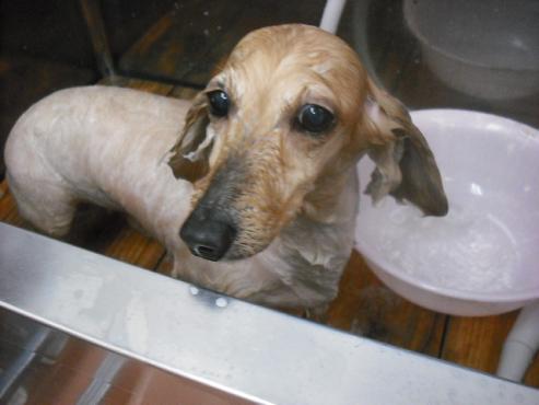 ファイル 2899-2.jpg