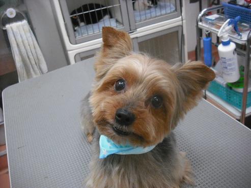 ファイル 2900-1.jpg