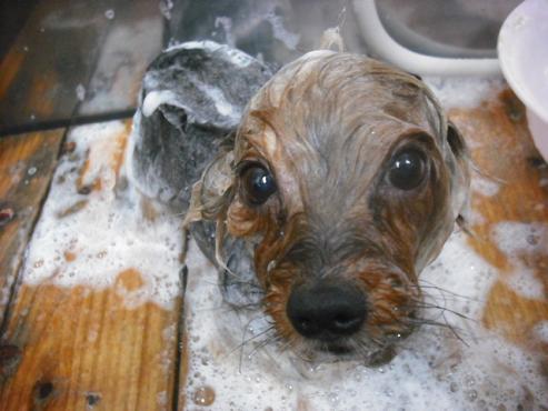 ファイル 2900-2.jpg