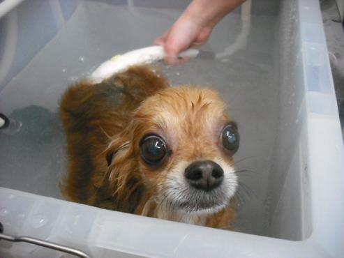 ファイル 2902-2.jpg