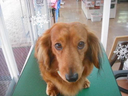 ファイル 2904-1.jpg