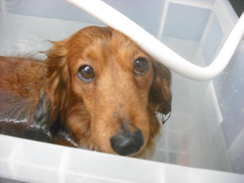 ファイル 2904-2.jpg