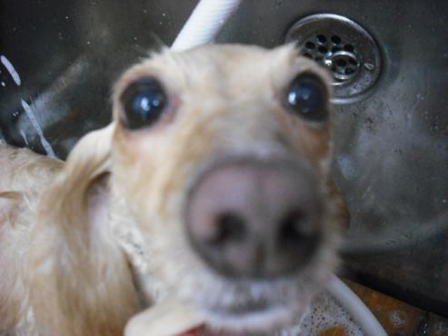 ファイル 2905-2.jpg