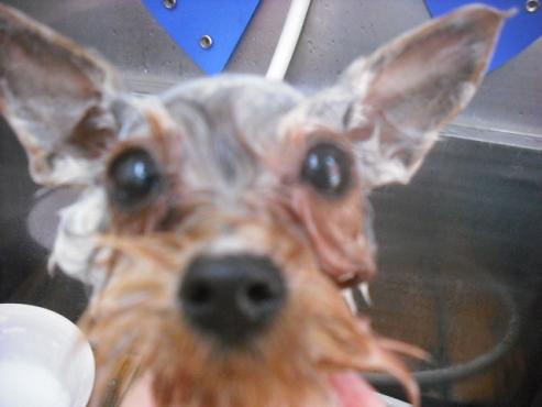 ファイル 2907-2.jpg