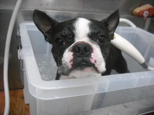 ファイル 291-2.jpg