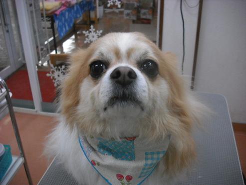 ファイル 2910-2.jpg