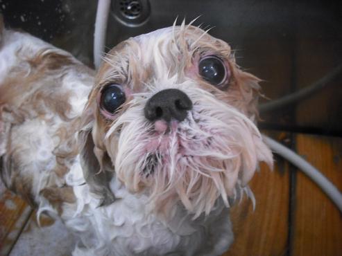 ファイル 2911-2.jpg