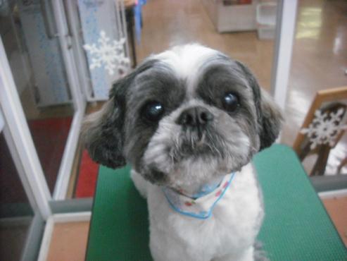 ファイル 2914-1.jpg