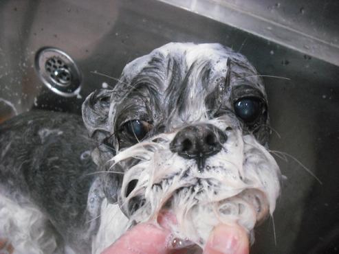 ファイル 2914-2.jpg