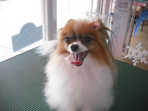 ファイル 2915-1.jpg