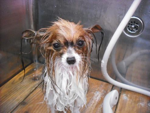 ファイル 2915-2.jpg