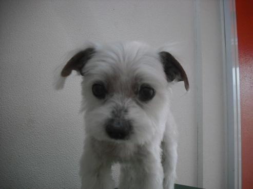 ファイル 292-1.jpg