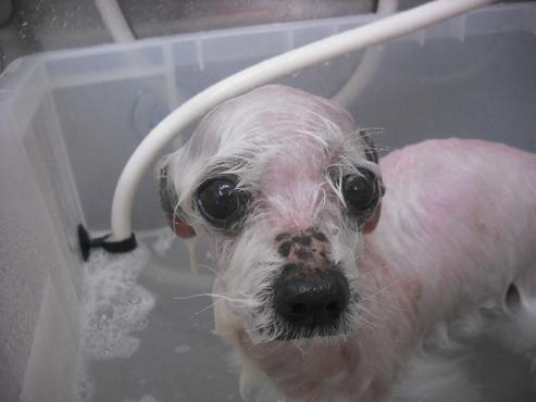 ファイル 292-2.jpg