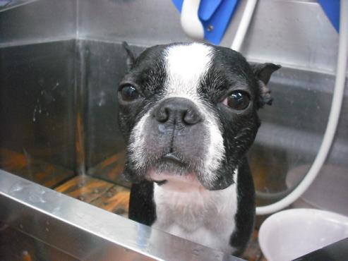 ファイル 2920-2.jpg