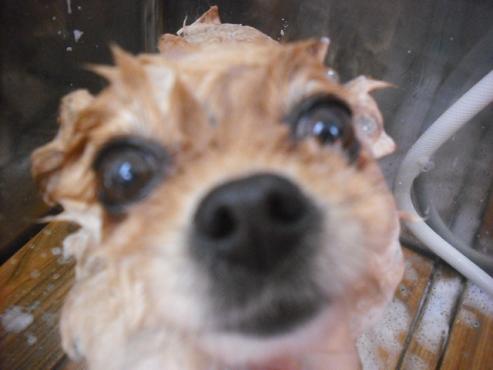 ファイル 2922-2.jpg