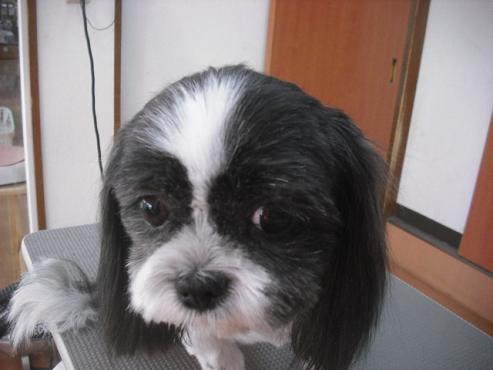 ファイル 2923-2.jpg