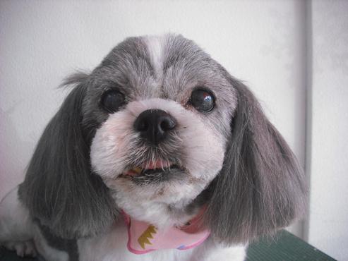 ファイル 2924-1.jpg