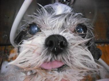 ファイル 2924-2.jpg