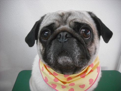 ファイル 2925-1.jpg