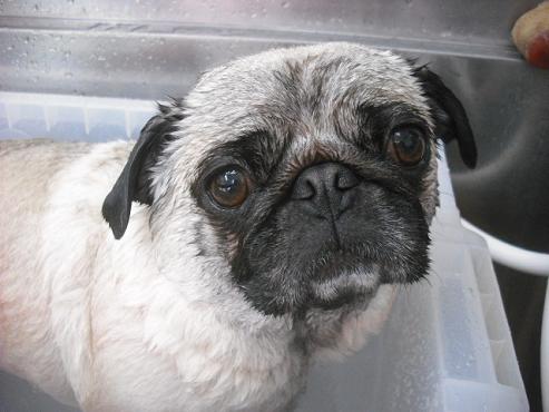 ファイル 2925-2.jpg