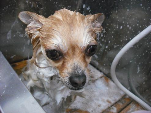 ファイル 2928-1.jpg