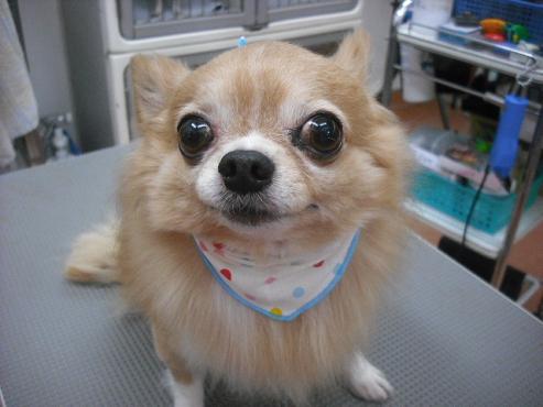 ファイル 2929-1.jpg