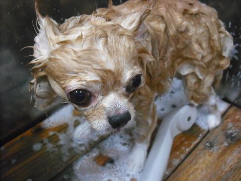 ファイル 2929-2.jpg