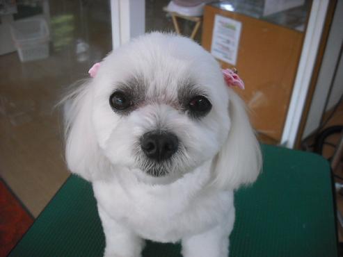 ファイル 293-1.jpg