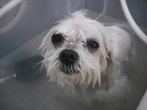 ファイル 293-2.jpg