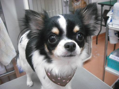 ファイル 2930-1.jpg