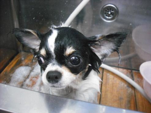 ファイル 2930-2.jpg