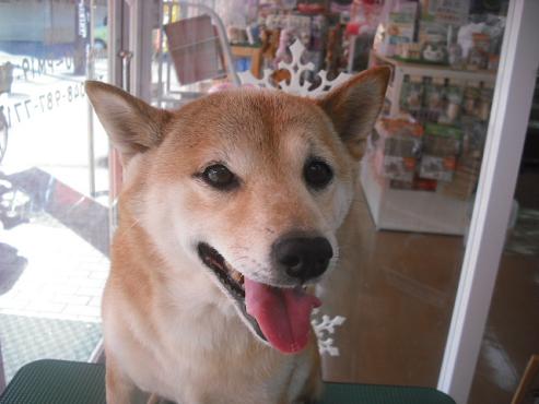 ファイル 2932-1.jpg