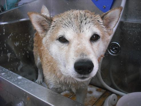 ファイル 2932-2.jpg