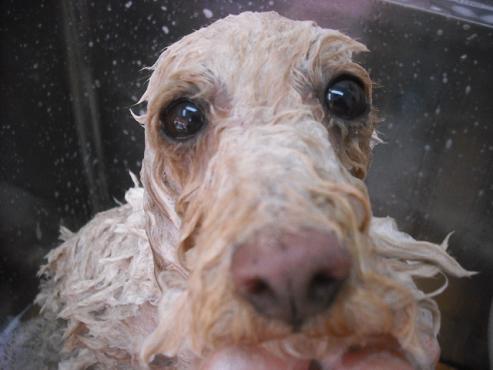 ファイル 2933-2.jpg