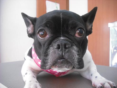 ファイル 2934-1.jpg