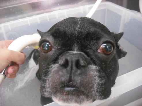 ファイル 2934-2.jpg