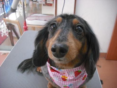 ファイル 2936-1.jpg