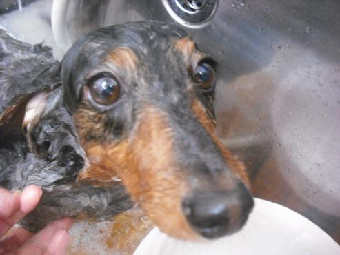 ファイル 2936-2.jpg