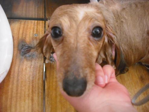 ファイル 2937-2.jpg