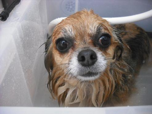 ファイル 2938-2.jpg