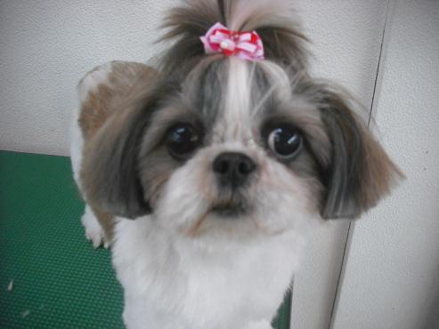 ファイル 2939-1.jpg