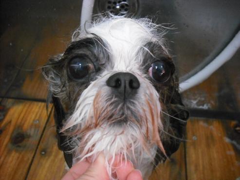 ファイル 2939-2.jpg