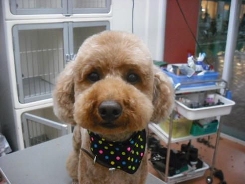 ファイル 294-1.jpg